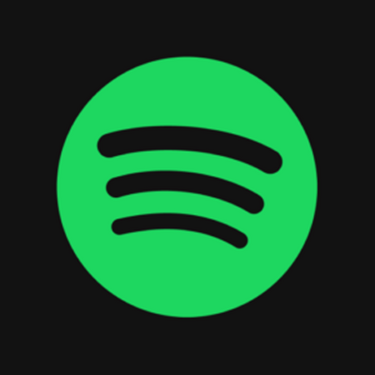 Spotify 6-month Premium Gift Card DE